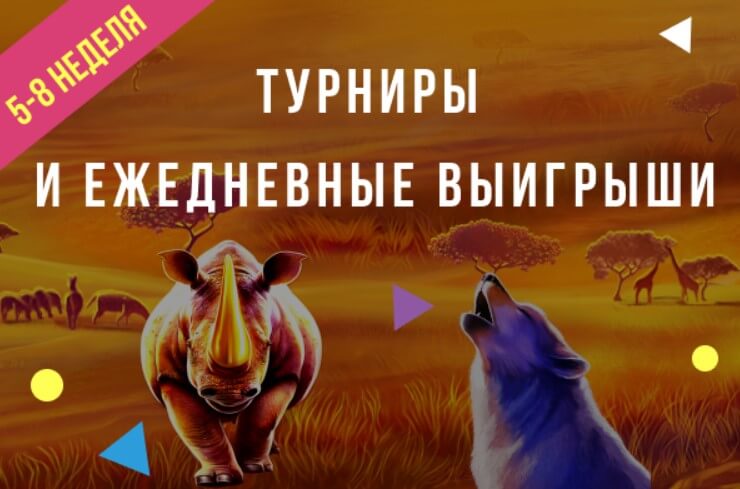 Бонусы и турниры казино Буй для зарегистрированных игроков